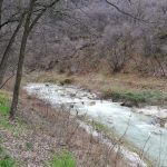 Rio Cavallo
