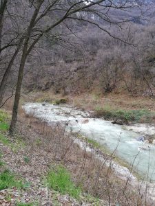 Rio Cavallo
