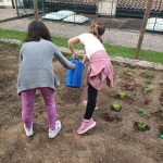 semina all'orto didattico