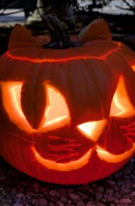 zucca vincitrice 2025