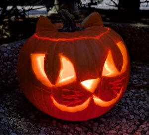 zucca vincitrice 2025