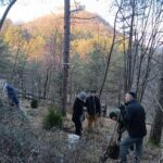 Lavori in aula nel bosco
