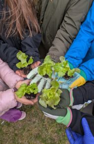 Semina orto marzo 2026