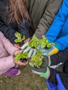 Semina orto marzo 2026